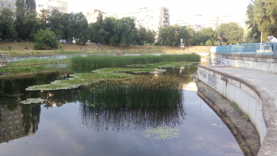 КП «Плесо» вбиває озера Києва, закочуючи їх у бетон і габіони — екологи (ФОТО) Озеро Голубе. Фото: КЕКЦ