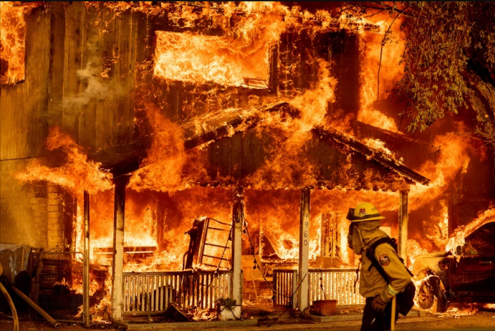 Выжженная земля: лесные пожары опустошают запад США