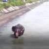 Фото: скрін з відео