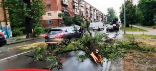В Україні знеструмлено 75 населенних пунктів, у столиці негода влаштувала деревопад 