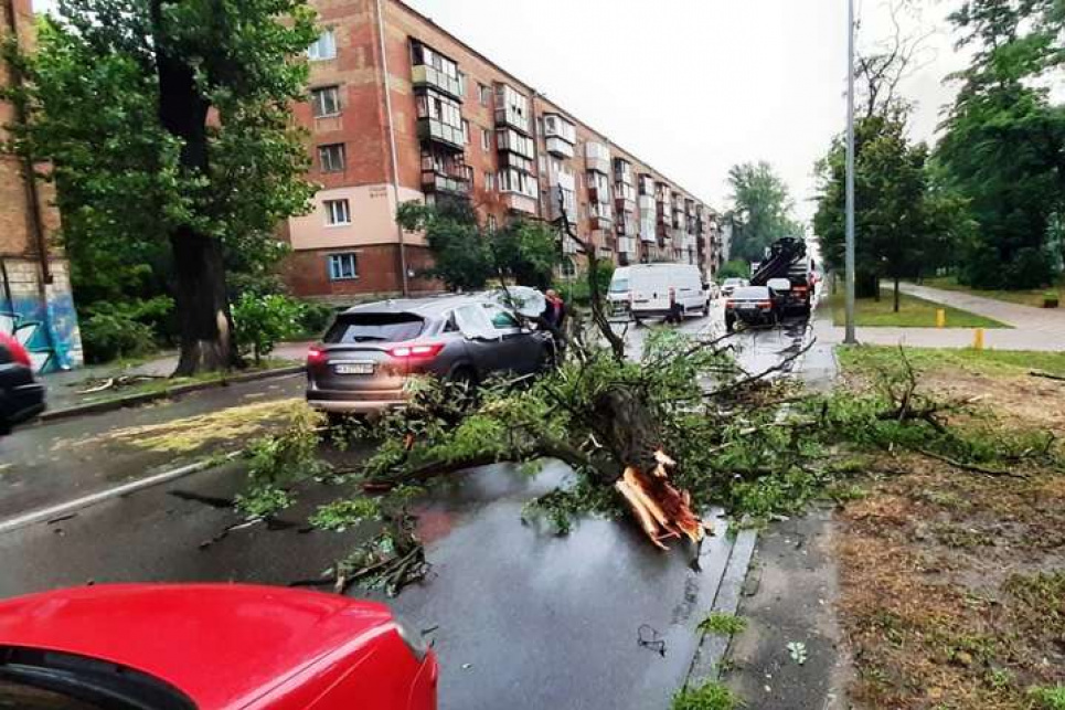 В Україні знеструмлено 75 населенних пунктів, у столиці негода влаштувала деревопад 