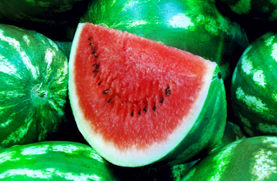 Сезон кавунів: коли купувати, як вибрати корисну ягоду без «хімії» Фото:
Гарбуз.інфо