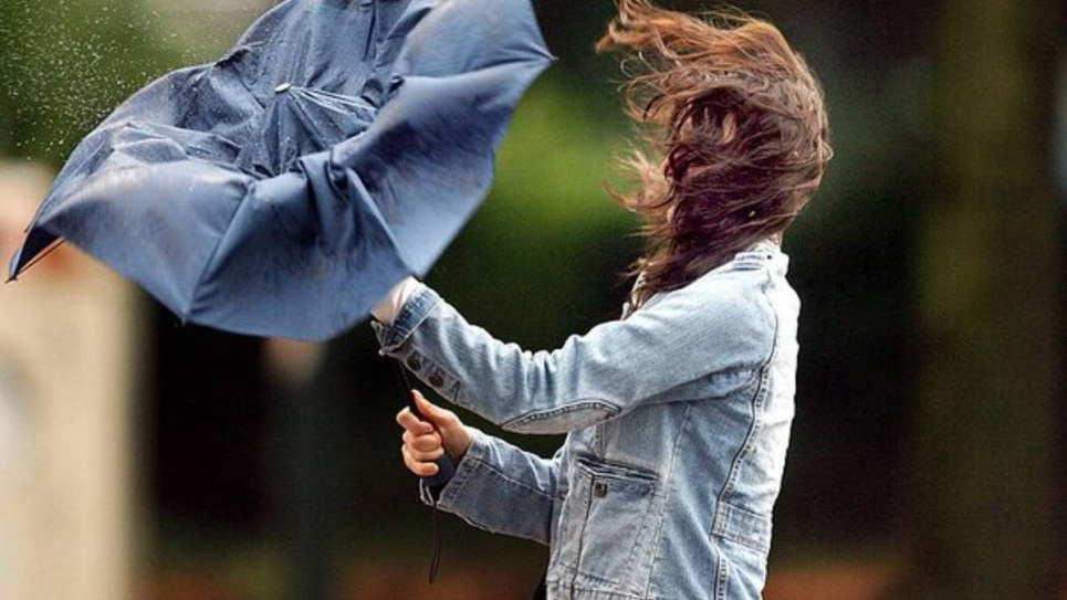 В Україні 22 липня оголошено штормове попередження: які області зачепить негода Фото:
24 Канал