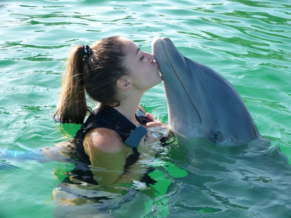 23 липня відзначають Всесвітній день китів і дельфінів.