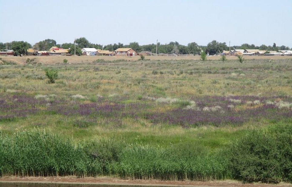 Тузлівські лимани