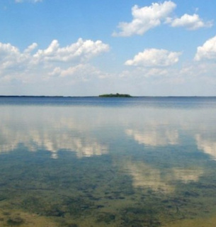 Фекальні води просто витікали з люків у Світязь: незаконні врізки знищують водойму Фекальні води просто витікали з люків у Світязь