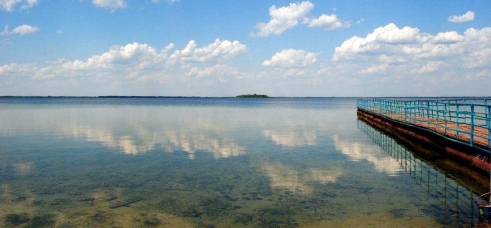  Фекальні води просто витікали з люків у Світязь