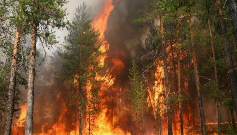 Горить Греція: повідомляється про 46 осередків займань (ВІДЕО) Фото: Kathimerini