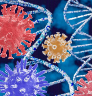 Хорошие новости: не менее 40% украинцев имеют антитела к Sars-Cov-2 — исследование Фото:
Громадське телебачення