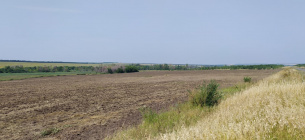 Фермер розорав 22 гектари охоронної зони заповідника «Стрільцівський степ» на Луганщині