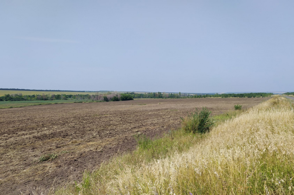 Фермер розорав 22 гектари охоронної зони заповідника «Стрільцівський степ» на Луганщині