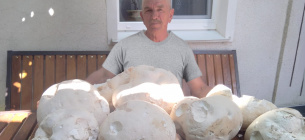 На Подолье мужчина «поохотился» за грибами: размер каждого больше, чем человеческая голова