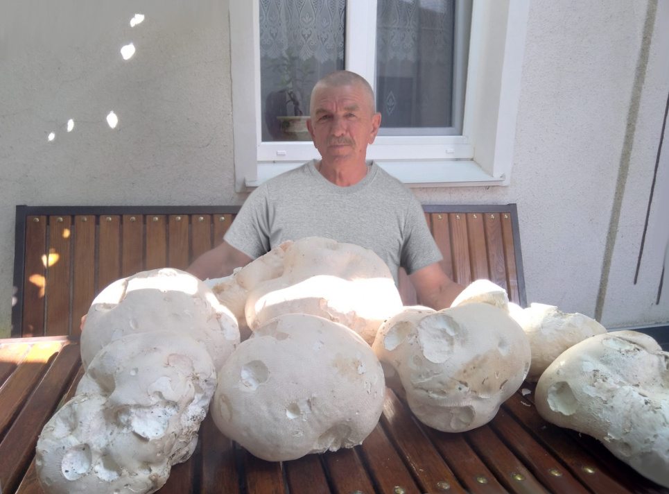 На Поділлі чоловік «вполював» грибів, розмір кожного більший за людську голову