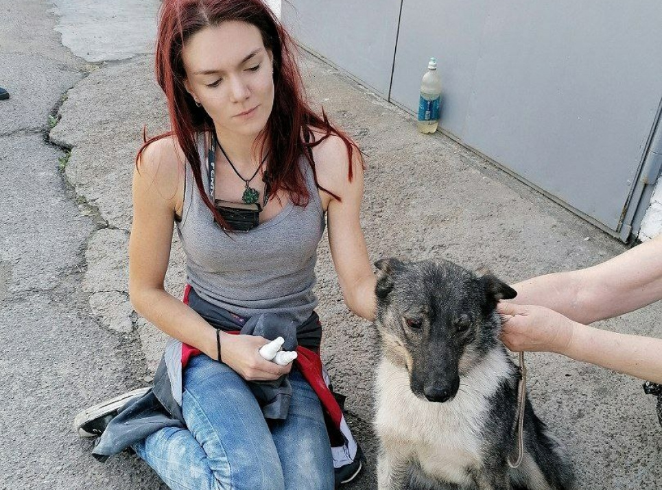 В Киеве спасли собаку, застрявшую между гаражами