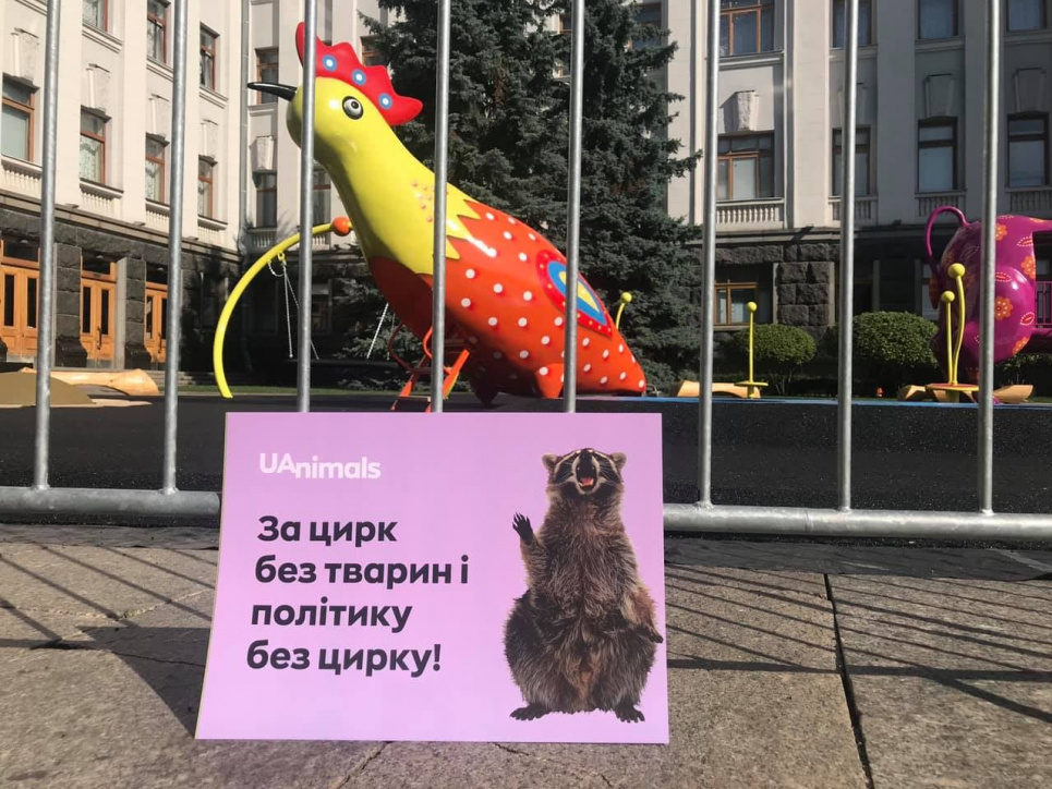Під Офісом президента екоактивісти провели «мітинг паркану» проти використання тварин у цирку (ФОТО) Фото: зі сторінки Українська екологія — захист довкілля