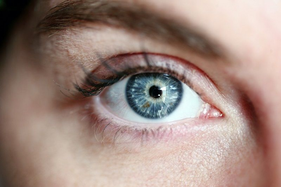 Как улучшить здоровье глаз: список продуктов для хорошего зрения