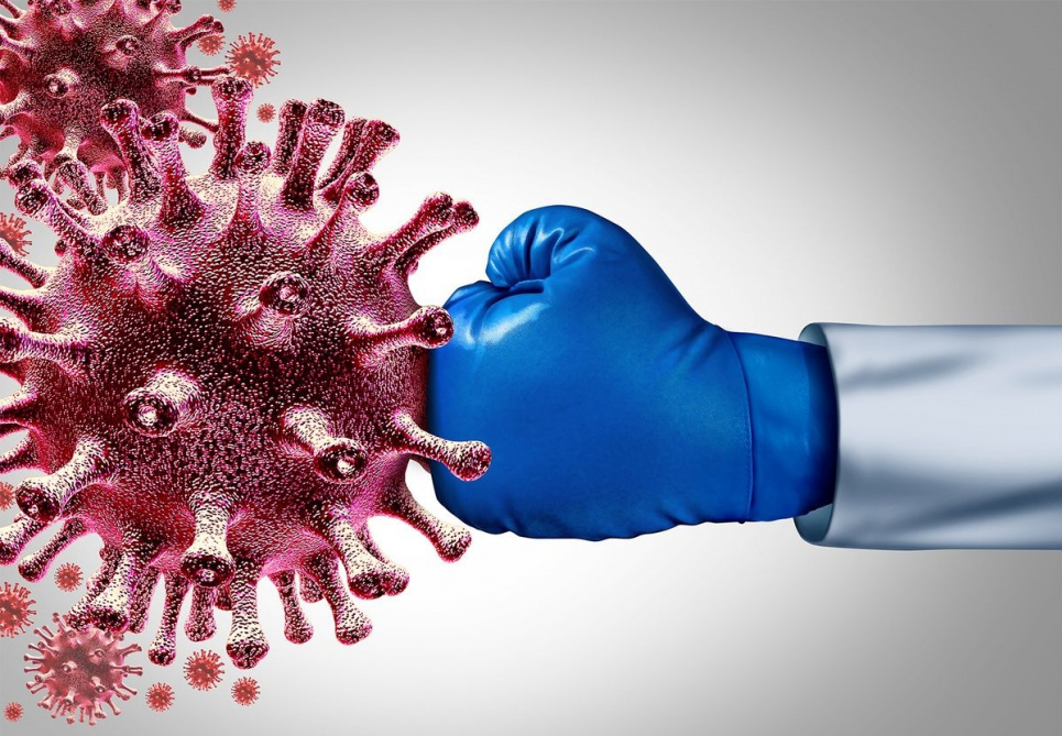 Віруси атакують підтримати імунітет зміцнення імунітету