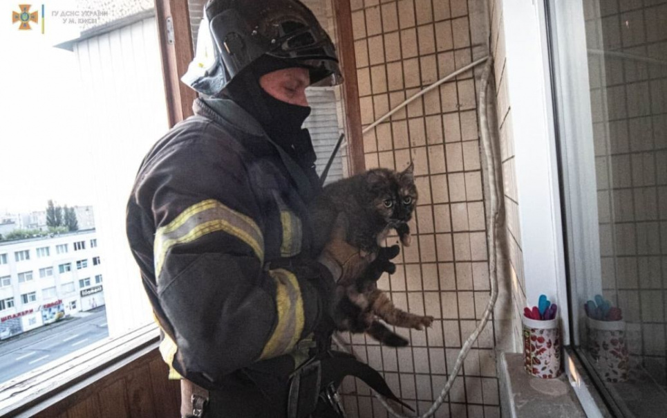 Рятувальники у Києві зняли кішку з балкона, який горів (ФОТО) Фото: Головне управління ДСНС України у м. Києві