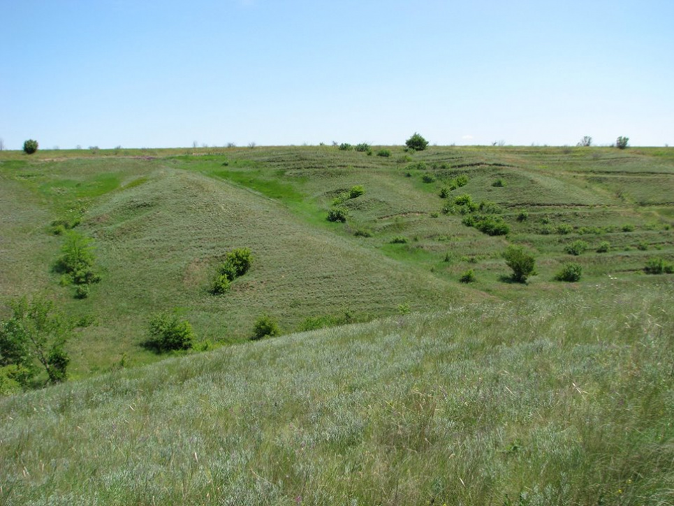 На Херсонщині аграрій розорав два скіфські кургани та заплатив штраф Фото:
Український Південь