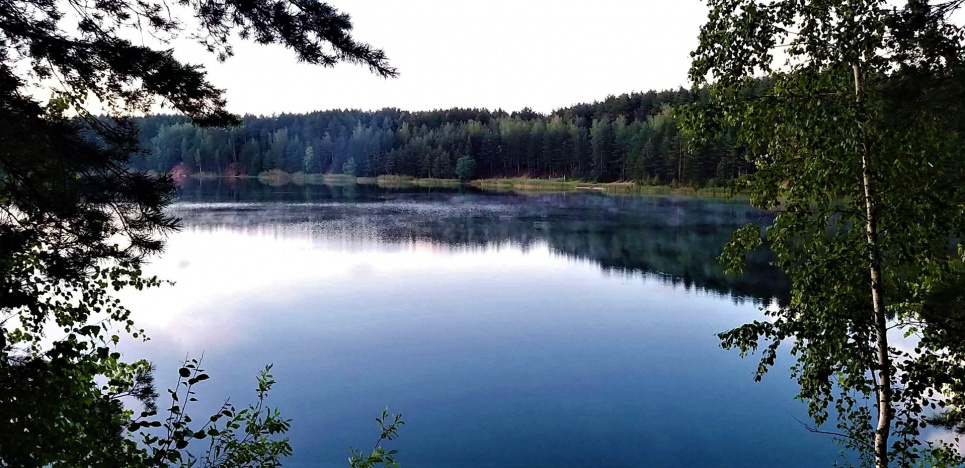 На Львівщині планують «покращити» водойму за 21 млн грн Покращення екологічного стану та умов водоймища біля Львова