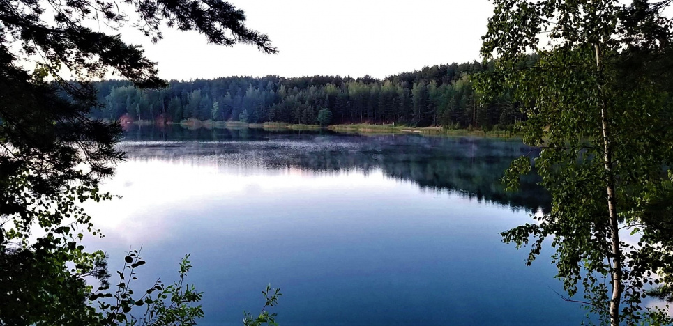 Покращення екологічного стану та умов водоймища біля Львова