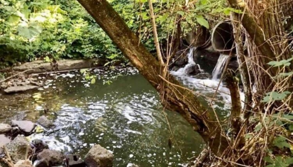 У Житомирі водоканал далі скидає неочищені стоки: у Тетерів потрапило 120 тис. т забруднених вод (ВІДЕО) ФОТО: ДЕІ