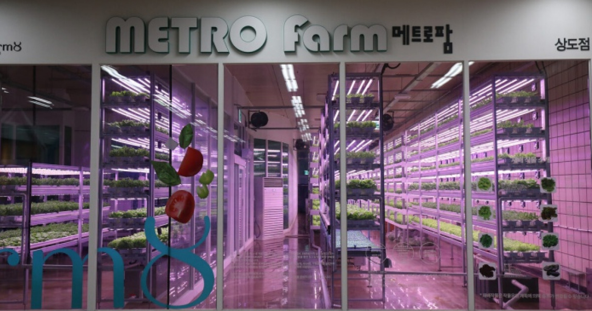 Новый Магазин Метро