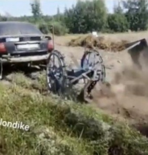 У Рівненській області Ауді викопувала картоплю