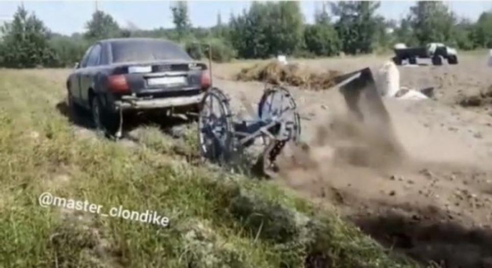 В Ровенской области Ауди выкапывала картофель