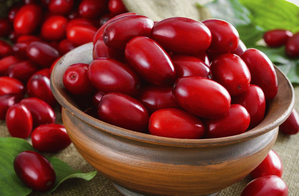 Усі вітаміни — в одній ягоді: чому потрібно їсти кизил Фото:
Гарбуз.інфо