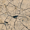 Фото: 24 канал