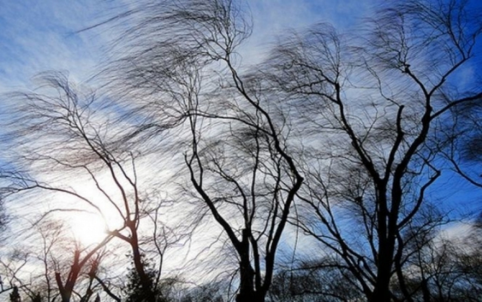 На завтра в Україні оголошено штормове попередження: вітер посилиться до 30 м/с, «жовтий» рівень небезпеки Фото:
Галицький Кореспондент