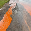 Фото: Николай Колесник