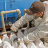 Тара
