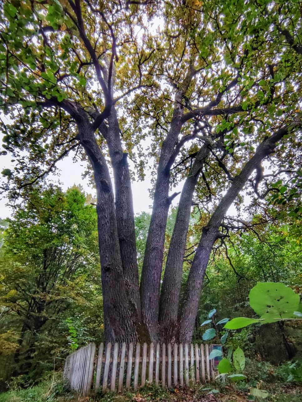 Фото: Юлія Кір'янова