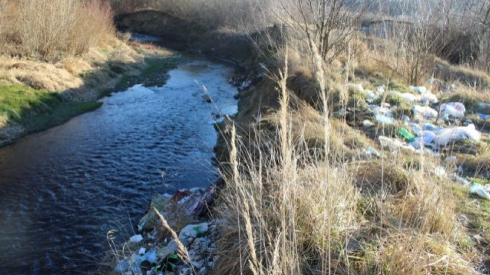 Штрафи за забруднення довкілля та вирубування дерев зростуть до 68 тисяч гривень — рішення уряду Фото:
Варіанти