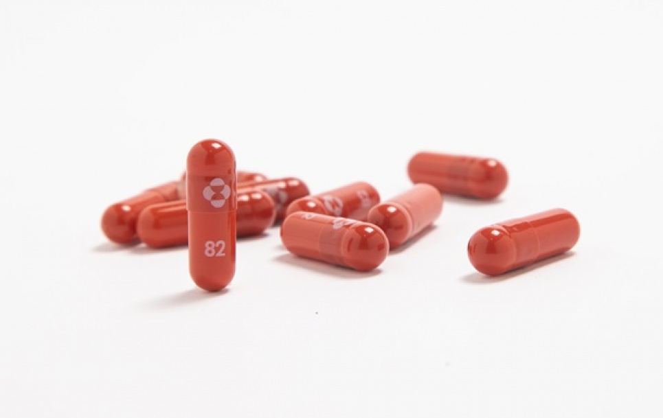 Merck звинувачують у завищенні вартості ліків від коронавірусу в 40 разів Молнупінавір. Фото: AP