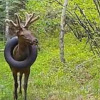 Фото з відео
