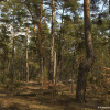 Фото: WWF-Україна