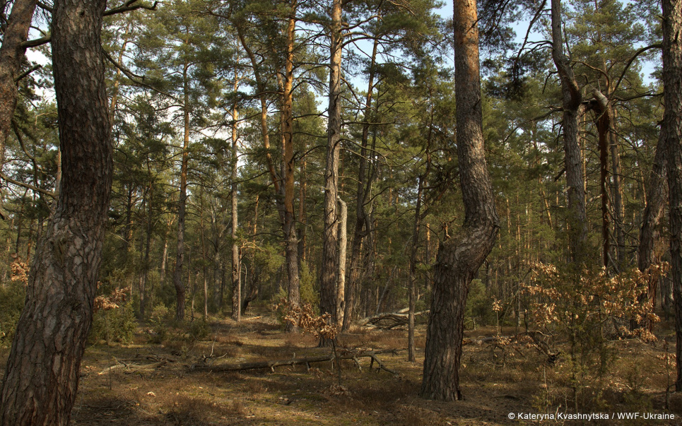 Фото: WWF-Україна