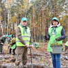 На Житомирщині посадили 1 мільйон дерев упродовж дня (ФОТО) Фото: Житомирське обласне управління лісового та мисливського господарства