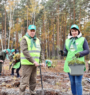 На Житомирщині посадили 1 мільйон дерев упродовж дня (ФОТО) Фото: Житомирське обласне управління лісового та мисливського господарства