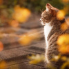 Фото:
24 Канал