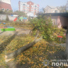 Дерево