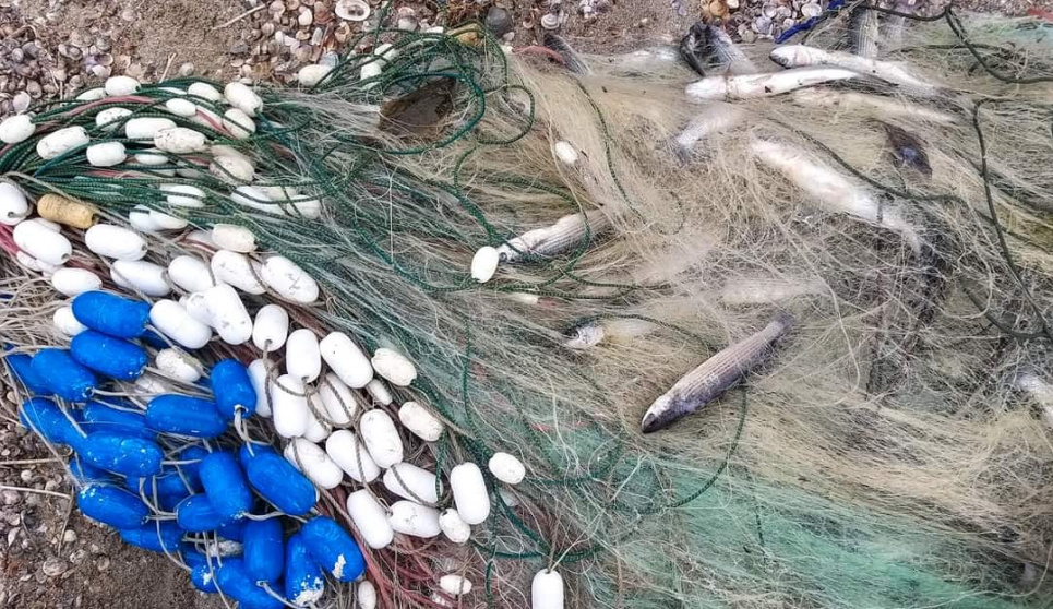 На лимані Алібєй браконьєри виловлюють заборонену камбалу (ФОТО) Сітка