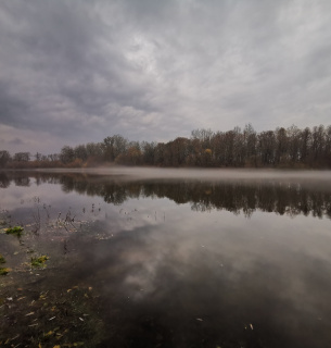 Забруднення води у Київській області не фіксується