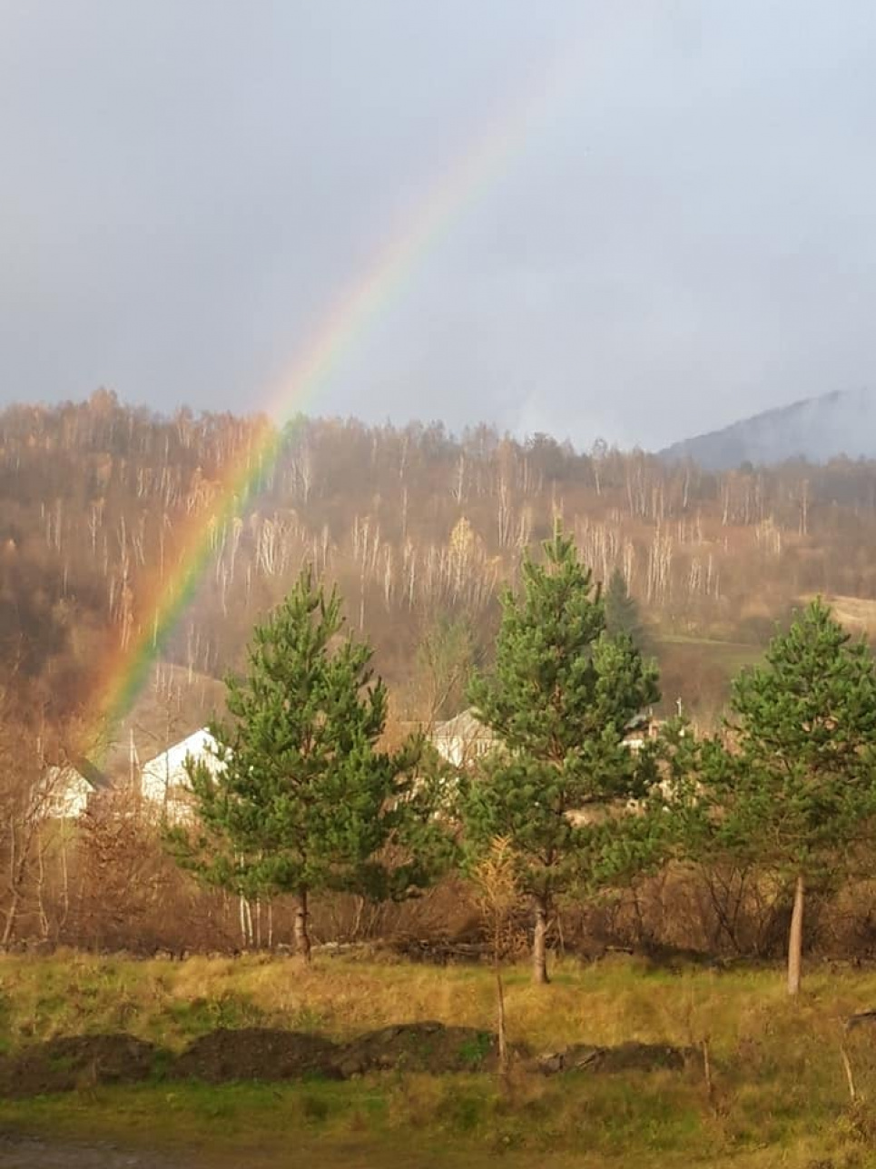 На Закарпатті зафіксували унікальне природне явище — веселку в листопаді (ФОТО) Фото: Укрінформ