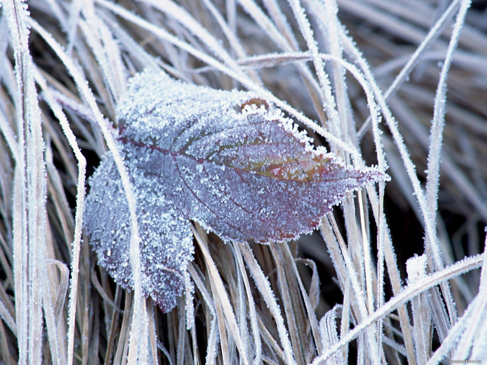 Уночі до -10°, удень - до +3°: синоптики дали прогноз погоди на початок тижня Фото6
112 UA