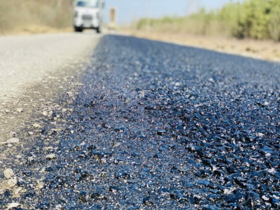 В Киевской области хотят проложить автобан, вырубив лес — экоактивистка Автобан