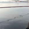 Чорное море